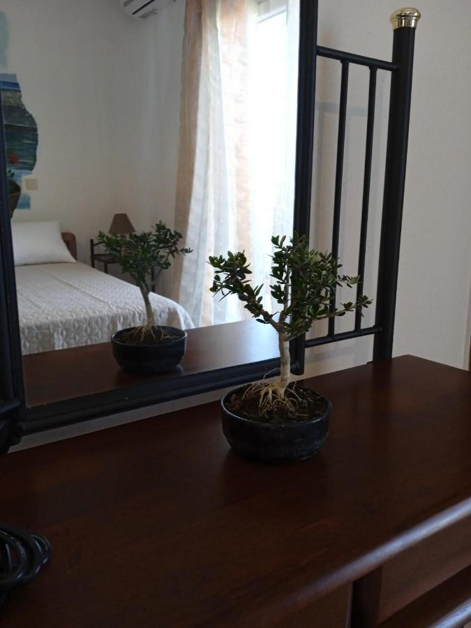 Appartement Little Lepanto à Áfitos Extérieur photo